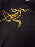 ARC'TERYX始祖鳥(niǎo) KRAGG COTTON LOGO SS 透氣 男子 棉質(zhì)短袖T恤 24K BLACK/黑色 L 曬單實(shí)拍圖