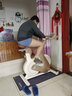 飛利浦家用動(dòng)感單車(chē)智能自發(fā)電健身器材減肥運動(dòng)室內自行車(chē)小金鹿3102B 曬單實(shí)拍圖