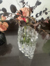 京東鮮花 冰川極凍花瓶 高端擺件客廳插花玻璃透明輕奢高級感水養玫瑰鮮花 曬單實(shí)拍圖