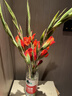 粉紅色劍蘭節節高鮮花年宵花廣州發(fā)春節裝飾情人節禮物長(cháng)65-70cm 紅色劍蘭5支 曬單實(shí)拍圖