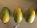 余悅海南金煌芒【多地次日達】新鮮水仙芒果青皮甜心芒果年貨禮盒送禮 帶箱5斤裝【單果250-350g/凈4.5斤】店家力薦 曬單實(shí)拍圖