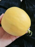 正宗新鮮小蜜蜂甜瓜星甜20蜜罐甜瓜水果香瓜蜜瓜現貨郁金香小甜瓜 3斤 曬單實(shí)拍圖