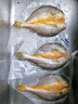 三都港黃魚(yú)鲞國產(chǎn)寧德原產(chǎn)地黃花魚(yú)冷凍生鮮海鮮大黃魚(yú)三去免殺烹飪食材 【官旗直發(fā)】黃魚(yú)鲞組合4包共1000g 曬單實(shí)拍圖