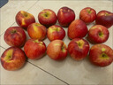 昭通紅露櫻桃小蘋(píng)果5斤新鮮水果現摘脆甜冰糖心紅富士丑平果整箱L 2斤【現摘現發(fā)】 小果【單果50-59mm】 曬單實(shí)拍圖