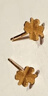 周六福足金999四葉草黃金耳釘女耳飾婦女節禮物計價(jià)AA096009一對約0.73g 曬單實(shí)拍圖