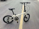 鳳凰官方旗艦店折疊自行車(chē)成年人20寸男女禧瑪諾變速親子通勤車(chē)ZD300 胡椒白【鋼架】禧瑪諾7速+寶寶座椅 曬單實(shí)拍圖