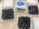 京喜加云南藍莓鮮果花香藍莓新鮮水果藍莓禮盒裝新鮮現摘單盒凈重70g+ 花香藍莓15mm+ 2盒裝 曬單實(shí)拍圖