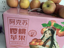 絲路甜心正宗阿克蘇蘋(píng)果櫻桃蘋(píng)果【天生個(gè)頭小 原生態(tài) 脆甜多汁】產(chǎn)地直發(fā) 5斤-小果【單果65-70mm】 脆甜多汁/果香濃郁 曬單實(shí)拍圖