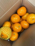 田拾記正宗廣西金秋砂糖橘【多地次日達】新鮮沙糖桔子水果年貨節送禮品 20斤裝丨家庭囤貨超值丨凈18斤 精選果丨單果35-40mm+丨商超款 曬單實(shí)拍圖