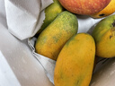 京覓海南小臺農芒果 單果90-150g 凈重3斤 新鮮水果源頭直發(fā)包郵 曬單實(shí)拍圖