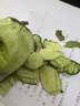 （霖錦）超便宜山東當季綠寶甜瓜單果250g+山東沈陽(yáng)倉隨機發(fā) 帶箱約3斤，凈果2.6斤 曬單實(shí)拍圖
