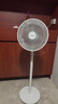 美的（Midea）電風(fēng)扇 家用七葉立式落地扇宿舍臥室輕音節能搖頭桌面小風(fēng)扇大風(fēng)力空氣循環(huán)風(fēng)扇 SAF30AC  曬單實(shí)拍圖
