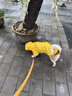 COCS狗狗雨衣中大型犬 寵物雨衣小狗雨衣 邊牧衣服狗狗沖鋒衣雨披全包 黃色 2XL號建議體重18-28斤 曬單實(shí)拍圖
