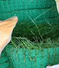 人造仿真草坪地毯幼兒園戶(hù)外綠色塑料草皮足球場(chǎng)鋪裝人工假草坪墊 2厘米加厚春草（1米寬*2米長(cháng)） 曬單實(shí)拍圖