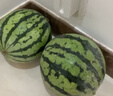 京滿(mǎn)隆正宗麒麟西瓜 新鮮8424西瓜頭茬瓜當季水果紅心大西瓜整箱送禮 甄選2個(gè)禮盒裝【單果6-7斤】 曬單實(shí)拍圖