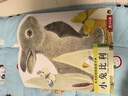 亮麗精美觸摸書(shū)-小兔比利（中英雙語(yǔ)）低幼認知繪本 幼兒?jiǎn)⒚煞抡嬗|感觸摸書(shū) 【0-2歲】 寶寶繪本省錢(qián)卡 兒童年貨節送禮 曬單實(shí)拍圖