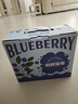 京鮮生 云南高山藍莓 特大果22mm+12盒禮盒裝 凈重125g/盒 生鮮水果 曬單實(shí)拍圖