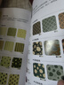 配色設計速查手冊（繪客出品） 曬單實(shí)拍圖