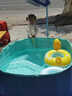 西哈泳士免充氣游泳池家用可折疊兒童嬰兒游泳桶加厚成人大型支架戶(hù)外泳池 1.6米 夾網(wǎng)5層加厚【入門(mén)套餐】 曬單實(shí)拍圖