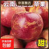 丑蘋(píng)果新鮮云南昭通蘋(píng)果生鮮水果蘋(píng)果冰糖心富士當季中秋水果禮盒 5斤精選果【80%人選】50-60mm 曬單實(shí)拍圖