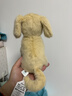 Jellycat金毛小狗毛絨玩具娃娃安撫玩偶公仔送禮生日禮物2026春夏新品 黃色 One Size 曬單實(shí)拍圖