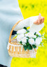 金日滿(mǎn) 柳編手提花籃藤編花籃收納筐野餐籃戶(hù)外春游拍照道具婚慶戒指籃 公主籃【20*11】 不含花 曬單實(shí)拍圖