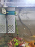 魚(yú)缸過(guò)濾器凈水循環(huán)四合一過(guò)濾盒滴流底濾系統整套過(guò)濾制氧一體機 6W 【雨淋/增氧/吸便/造浪】 曬單實(shí)拍圖