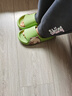 XGGC卡皮巴拉卡通兒童拖鞋女孩室內家居厚底防滑可愛(ài)涼拖女 綠色34-35 曬單實(shí)拍圖