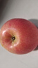 京愿甘肅天水花牛蘋(píng)果水果粉面蛇果國產(chǎn)紅果新鮮應季時(shí)令水果生鮮 5斤優(yōu)選裝70-75mm 凈重4.5斤 曬單實(shí)拍圖