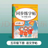 金枝葉五年級下冊字帖2026新版語(yǔ)文同步練字帖小學(xué)生字帖練字專(zhuān)用每日一練筆畫(huà)筆順描紅練字兒童生字字帖 曬單實(shí)拍圖