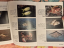 魚(yú)書(shū) 印度洋—太平洋珊瑚礁生物（900種海洋生物+1000張高清全彩圖片，一分鐘認識海洋生物） 曬單實(shí)拍圖