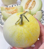 傾睦云南郁金香甜瓜 小蜜罐甜瓜白皮蜜瓜脆甜軟糯白雪小香瓜新鮮水果 4.5斤 精選中果【單果250-350g】 曬單實(shí)拍圖