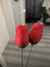 易澤家玫瑰花魔術(shù)道具火把變玫瑰表演火焰魔術(shù)求婚表白情人節520追女生 【免加油1支】免加油1次后續可加油用·每支約5次 曬單實(shí)拍圖