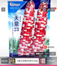 大禹彩甜糯玉米種子大全非轉花糯粘香黏糯老品種玉米籽早熟南方春季  天紫23彩糯玉米種子200g 大棒 曬單實(shí)拍圖