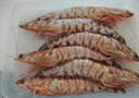 哆鮮生 海捕竹節蝦 野外生長(cháng)活凍國產(chǎn)斑節蝦大花對蝦九節竹節鬼蝦蝦類(lèi) 竹節蝦 特大號 5-6條 300g(凈重) 曬單實(shí)拍圖