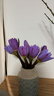 【玫瑰花】花店同款鮮花昆明基地直發(fā)生日禮物38女神婦女節 紫色睡蓮10支廣州發(fā)貨 曬單實(shí)拍圖