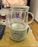 小熊（Bear）迷你養生壺養生杯 電燉杯電熱杯恒溫花茶壺辦公室杯子0.4L全玻璃杯體YSH-F04E1  曬單實(shí)拍圖