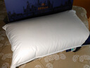 康爾馨希爾頓五星級酒店羽絨枕 100支A類(lèi)95%白鵝絨枕成人枕頭芯家用單人 希爾頓100S A類(lèi) 單只 48*74cm中枕 曬單實(shí)拍圖