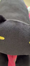 NITORI宜得利家居 玩偶沙發(fā)靠枕玩具抱枕家用舒柔抱枕黑貓 趴趴貓 舒柔抱枕 趴趴貓2 黑色 曬單實(shí)拍圖