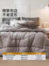 雅鹿·自由自在被子秋冬季A類(lèi)抗菌棉被芯保暖單雙人宿舍學(xué)生5斤150x200cm 古典灰 曬單實(shí)拍圖