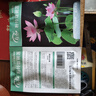 壽禾 碗蓮種子已開(kāi)口水培魚(yú)缸裝飾好養四季開(kāi)花 碗蓮2包20粒(10粒/包) 曬單實(shí)拍圖