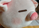 名創(chuàng  )優(yōu)品（MINISO）小豬B-BO彈力超柔趴姿毛絨公仔玩偶抱靠枕玩具情人節禮物新年禮物 曬單實(shí)拍圖