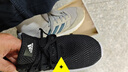 阿迪達斯（adidas）輕便休閑緩震健身訓練運動(dòng)鞋 UK6.0碼39 曬單實(shí)拍圖