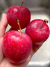 東北秋紅果沙果新鮮海棠果當季現摘糖心小紅蘋(píng)果酸甜脆口孕婦水果 海棠果中果（4.0）3斤 曬單實(shí)拍圖