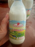 德質(zhì)德國進(jìn)口全脂純牛奶玻璃瓶?jì)和扇烁哜}奶 【嘗鮮裝】全脂240ml*3瓶 曬單實(shí)拍圖