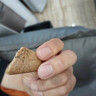 骉祥燕麥無(wú)糖餅干小麥粗糧雜糧0蔗糖黑雜糧代餐飽腹控糖代餐谷物餅干 【斷糖抗餓】到手30包 曬單實(shí)拍圖