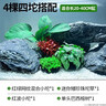 瘋狂水草坨草魚(yú)缸水草植物直接入缸真水草4棵魚(yú)缸造景套餐 源頭直發(fā)包郵 曬單實(shí)拍圖