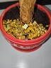 繽越實(shí)心沙金小元寶擺件仿真迷你小金條銅合金元寶聚寶盆裝飾 88顆裝 曬單實(shí)拍圖