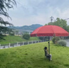 桃幽遮陽(yáng)傘擺攤太陽(yáng)傘擺攤大雨傘擺攤用三輪車(chē)擺攤大傘傘戶(hù)外雨傘做生 傘下1.9m傘上2.2米紅色+銀膠 曬單實(shí)拍圖