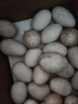 現撿新鮮土鵝蛋孕婦農家笨鵝蛋正宗山東特產(chǎn)現撿大個(gè)土生鵝蛋 12枚120g-140g 曬單實(shí)拍圖